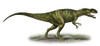 Neovenator salerii, a prehistoric era dinosaur from the Early Cretaceous period Poster Print - Item # VARPSTSKR100067P