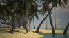 Large Brachiosaurus grazing at the water's edge Poster Print
