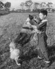 Side profile of boy playing with his dog Poster Print - Item # VARSAL25513587