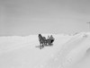 Couple riding in horsedrawn sleigh Poster Print - Item # VARSAL255424944