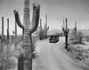 High angle view of a car moving on a road  Saguaro National Park  Arizona  USA Poster Print - Item # VARSAL2552567B