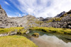 Reed Creek along the Read Lakes Trail in Hatcher Pass in Southcentral Alaska, Summer PosterPrint - Item # VARDPI12284878