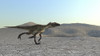 Utahraptor running across a desert landscape Poster Print