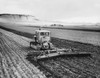Tractor pulling a harrow in a wheat field Poster Print - Item # VARSAL25530484