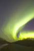 Northern Lights Alberta Canada PosterPrint - Item # VARDPI1766363