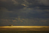 Tofield, Alberta, Canada; An Old Barn In A Field PosterPrint - Item # VARDPI1874727