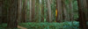 http://c328301.r1.cf1.rackcdn.com/PPI106470L.jpg