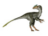 Guanlong dinosaur, white background Poster Print - Item # VARPSTNBT600110P