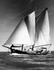 Group of people on a sailboat Poster Print - Item # VARSAL25522774