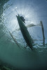 A fisherman uses a wooden outrigger near a remote island in Indonesia. This tropical region, within the Coral Triangle, is home to an incredible variety of marine life Poster Print - Item # VARPSTETH400637U