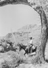 Cowboy riding horse Poster Print - Item # VARSAL255421943