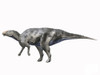 Hadrosaurus foulkii, Late Cretaceous of New Jersey Poster Print - Item # VARPSTNBT600009P