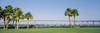http://c328301.r1.cf1.rackcdn.com/PPI49903S.jpg