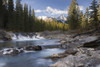 Waterfall On Sheep River; Kananaskis, Alberta, Canada PosterPrint - Item # VARDPI1842842
