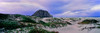 View of sand dunes and the Morro Rock, Morro Bay, San Luis Obispo County, California, USA Poster Print - Item # VARPPI165949