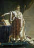 Napoleon en Costume   Anne-Louis Girodet de Roucy-Trioson  Muse Girodet  Montargis  France Poster Print - Item # VARSAL11581024
