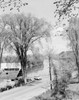 USA  New Hampshire  Rural scene Poster Print - Item # VARSAL255423770