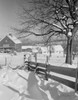 USA  New Hampshire  Lancaster  farm buildings with tree and plank fence Poster Print - Item # VARSAL255423995