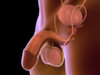 Conceptual image of human male reproductive organs Poster Print - Item # VARPSTSTK700691H