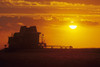 A Combine (Harvester) Harvests Winter Wheat At Sunset, Near Oakbank, Manitoba PosterPrint - Item # VARDPI2042914