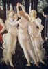La Primavera Ca. 1481 Sandro Botticelli Tempera On Wood Galleria degli Uffizi  Florence  Italy Poster Print - Item # VARSAL3815395664