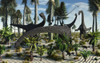 A herd of Diplodocus dinosaurs feeding on plants Poster Print - Item # VARPSTMAS100065P