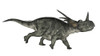 Styracosaurus dinosaur running, white background Poster Print - Item # VARPSTEDV600211P