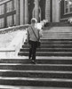 Rear view of a schoolboy climbing up a staircase to school Poster Print - Item # VARSAL25517934