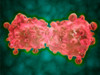 Microscopic view of a leukemia cell Poster Print