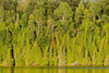 http://c328301.r1.cf1.rackcdn.com/PPI150642.jpg