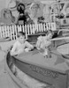 Kids in amusement park Poster Print - Item # VARSAL255421920