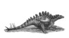 Pencil drawing of Gigantspinosaurus sichuanensis sitting on the ground. Gigantspinosaurus sichuanensis was a stegosaur dinosaur from the Late Jurassic of China. Poster Print - Item # VARPSTVNK600008P