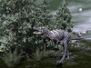 Aucasaurus dinosaur amongst wollemia trees and onychiopsis plants by night Poster Print - Item # VARPSTEDV600236P