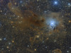 The Iris Nebula, NGC 7023, a reflection nebula in the constellation Cepheus Poster Print - Item # VARPSTRCM200066S