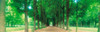 http://c328301.r1.cf1.rackcdn.com/PPI43776L.jpg