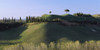 Trees on rolling green hills, Tuscany, Italy Poster Print - Item # VARPPI57307