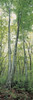 http://c328301.r1.cf1.rackcdn.com/PPI65828S.jpg