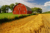 Barn, Myrtle, Manitoba PosterPrint - Item # VARDPI2016921