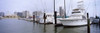 http://c328301.r1.cf1.rackcdn.com/PPI107806S.jpg
