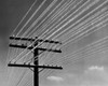 Low angle view of snow covered power lines Poster Print - Item # VARSAL25539820