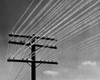 Low angle view of snow covered power lines Poster Print - Item # VARSAL25539820