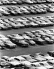 High angle view of cars parked in a parking lot  River Rouge Plant  Dearborn  Michigan  USA Poster Print - Item # VARSAL25540388