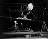 Tightrope walker performing in a circus Poster Print - Item # VARSAL2557058