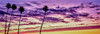http://c328301.r1.cf1.rackcdn.com/PPI164958.jpg
