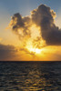 Dramatic colourful sky at sunrise reflecting off ocean with backlit clouds and blue sky; Akumal, Quintana Roo, Mexico PosterPrint - Item # VARDPI12269297