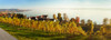 http://c328301.r1.cf1.rackcdn.com/PPI153905L.jpg