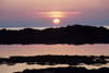 Ardnamurchan Peninsula, Lochaber, Highland, Scotland PosterPrint - Item # VARDPI1837019