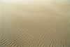 Oregon, Close-Up Of Sand Patterns In The Umpqua Dunes PosterPrint - Item # VARDPI2003454