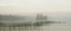Lake Of The Woods, Ontario, Canada PosterPrint - Item # VARDPI1836688