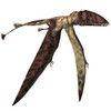 Dimorphodon pterosaur. Dimorphodon is a carnivorous pterosaur that lived in England during the Jurassic Period Poster Print - Item # VARPSTCFR200525P